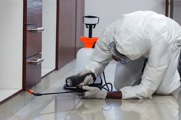 Termite Treatment